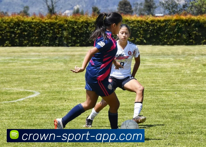 皇冠体育服务体系